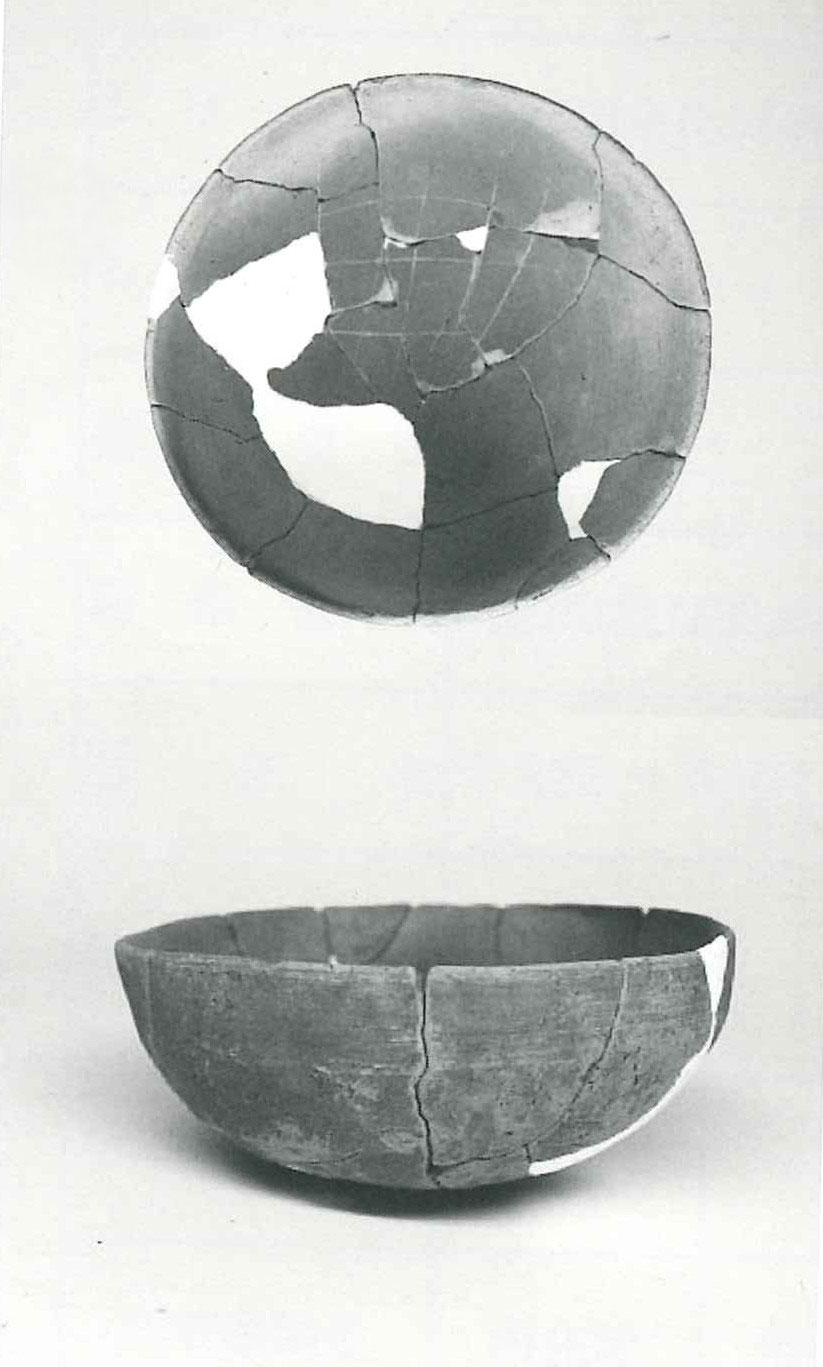 前津丑ノマヤ遺跡